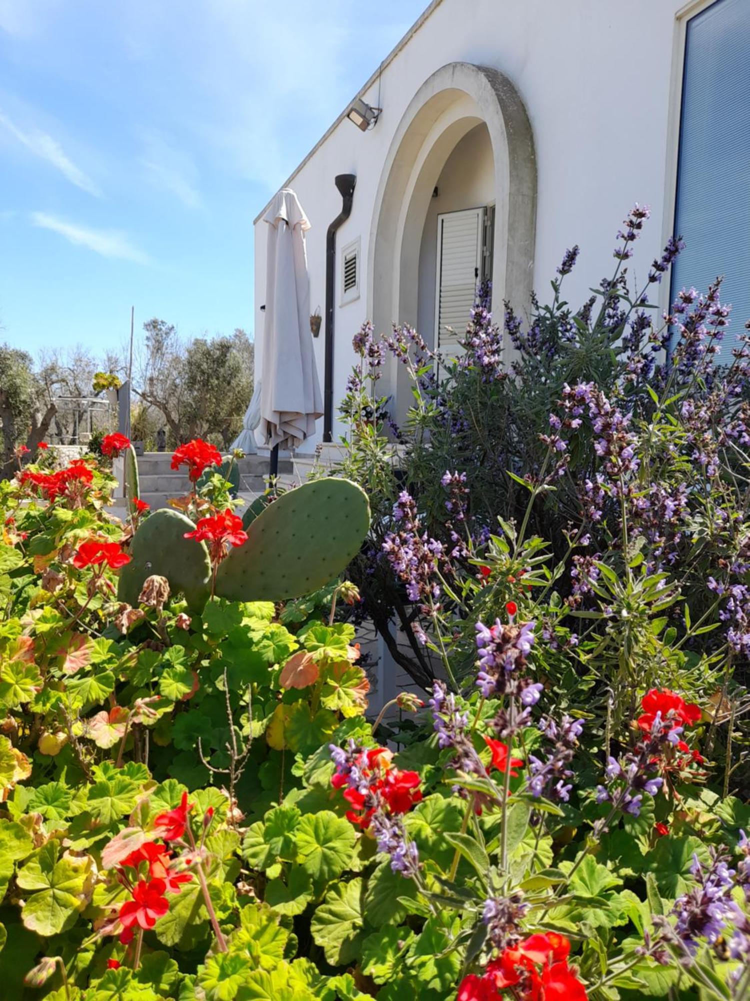 Tenuta Valle Dell Idro Otranto Con Piscina Casamassella Exterior foto