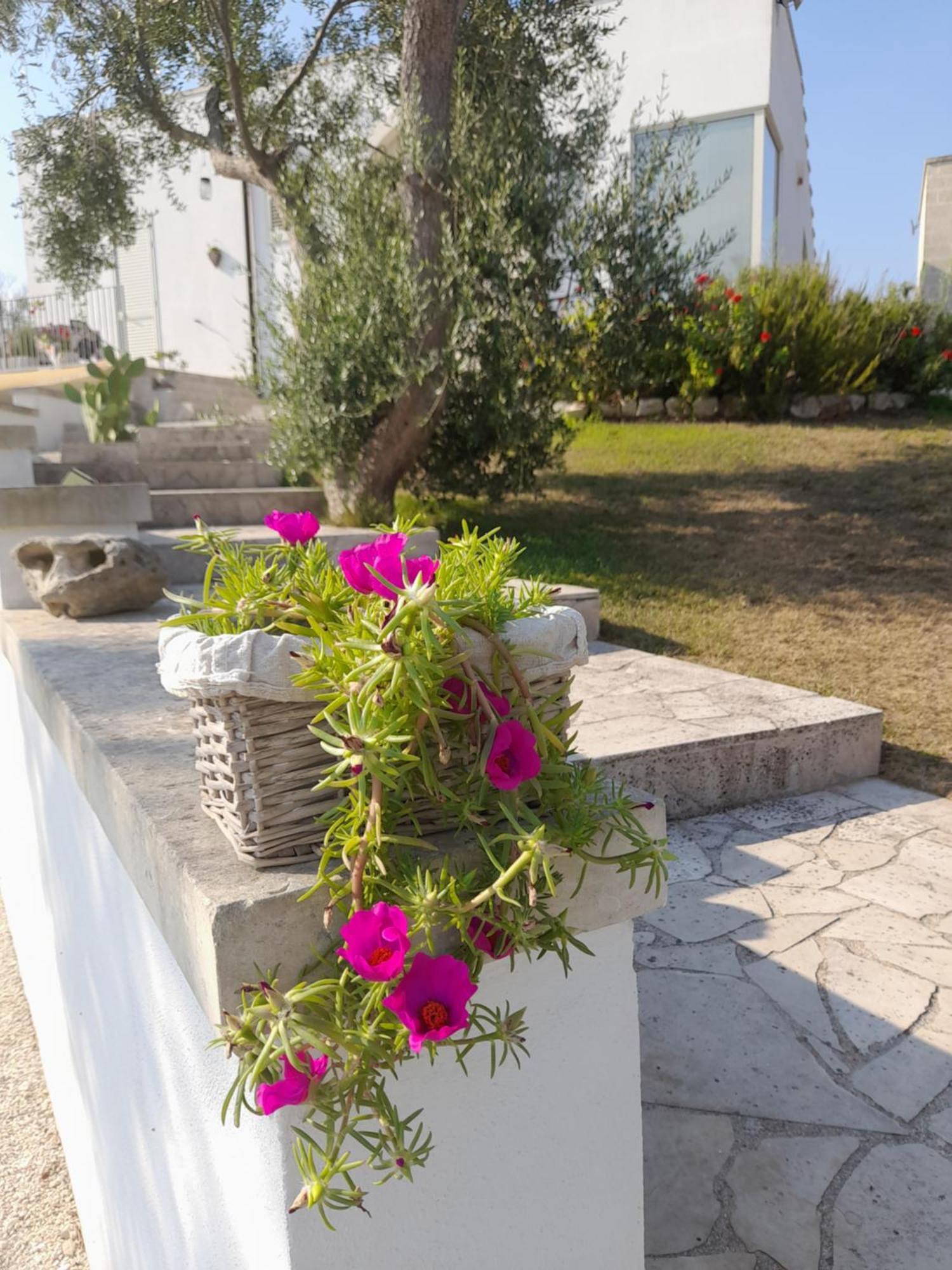 Tenuta Valle Dell Idro Otranto Con Piscina Casamassella Exterior foto